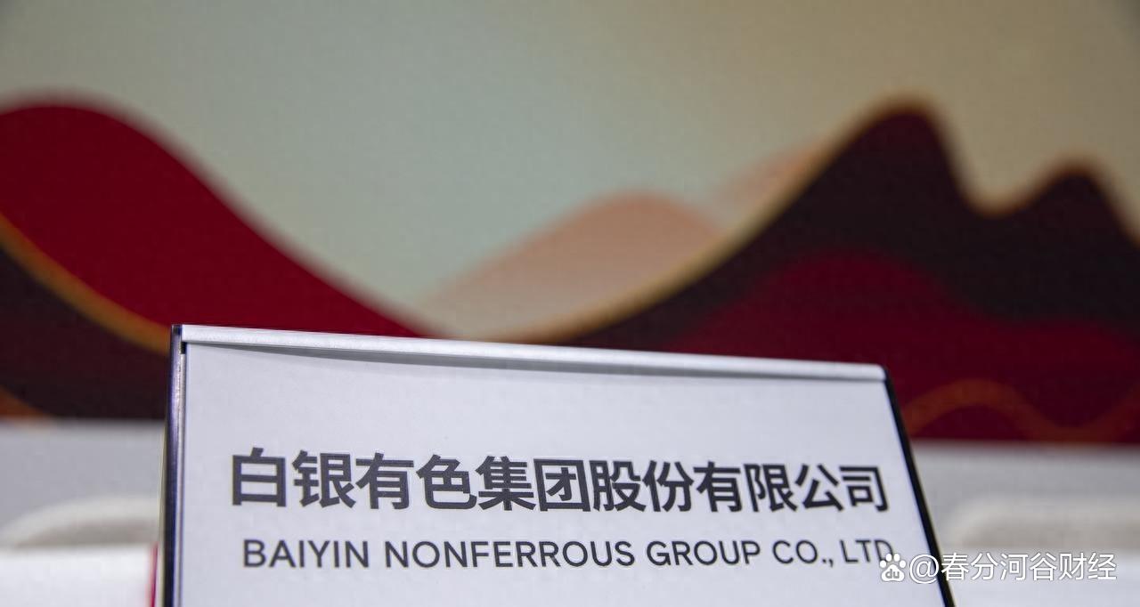 贵金属集团(贵金属集团左川)