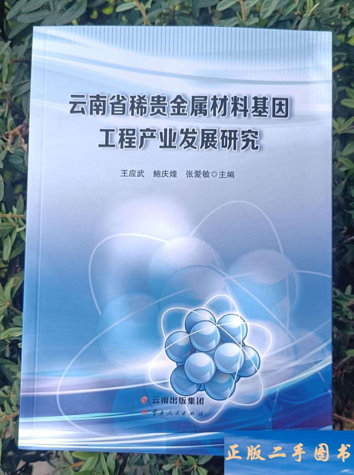 云南贵金属(云南贵金属新材料控股集团有限公司)