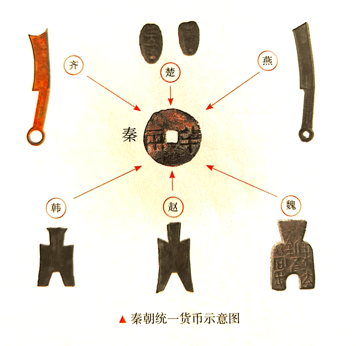 基础货币的构成(基础货币的定义及构成)